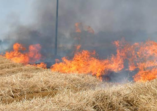 Aziende agricole sfiorate dal fuoco