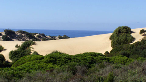 Le dune di Piscinas