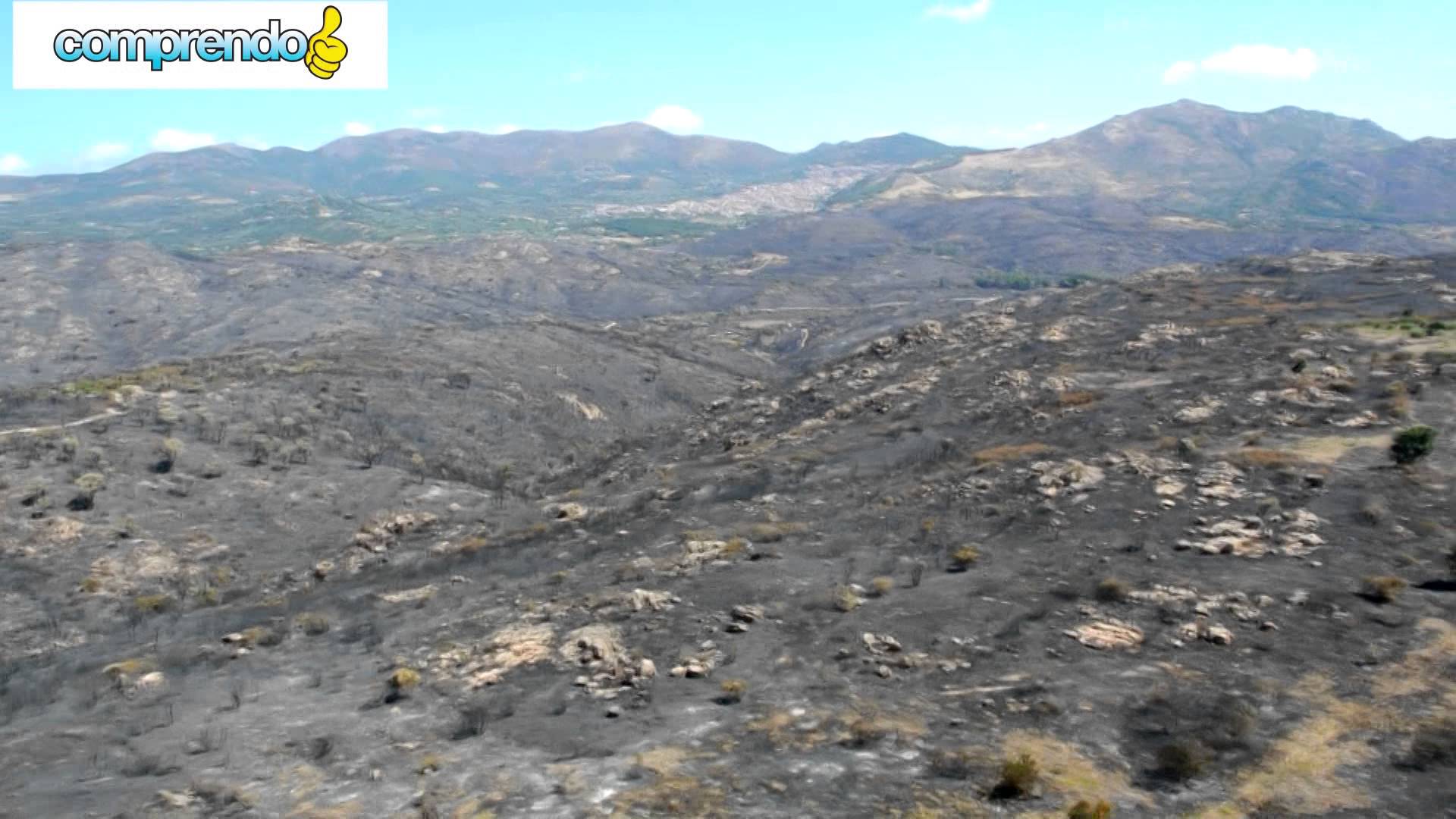 Incendio nel Medio Campidano, le riprese dal drone