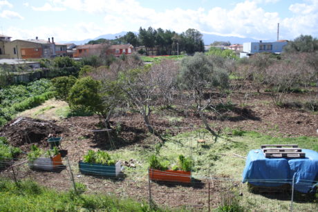 Un "Giardino Roccioso" in S'Ortu de Tziviriu
