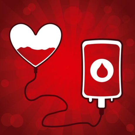 Donazione estiva, appello dell'ospedale per scongiurare carenze di sangue