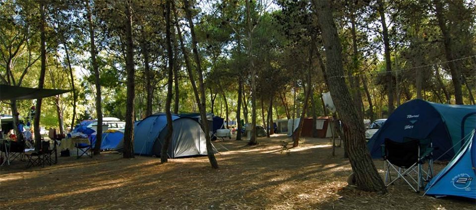 Faita Federcamping Sardegna: "La legge regionale sul turismo continua a mancare di progettualità"